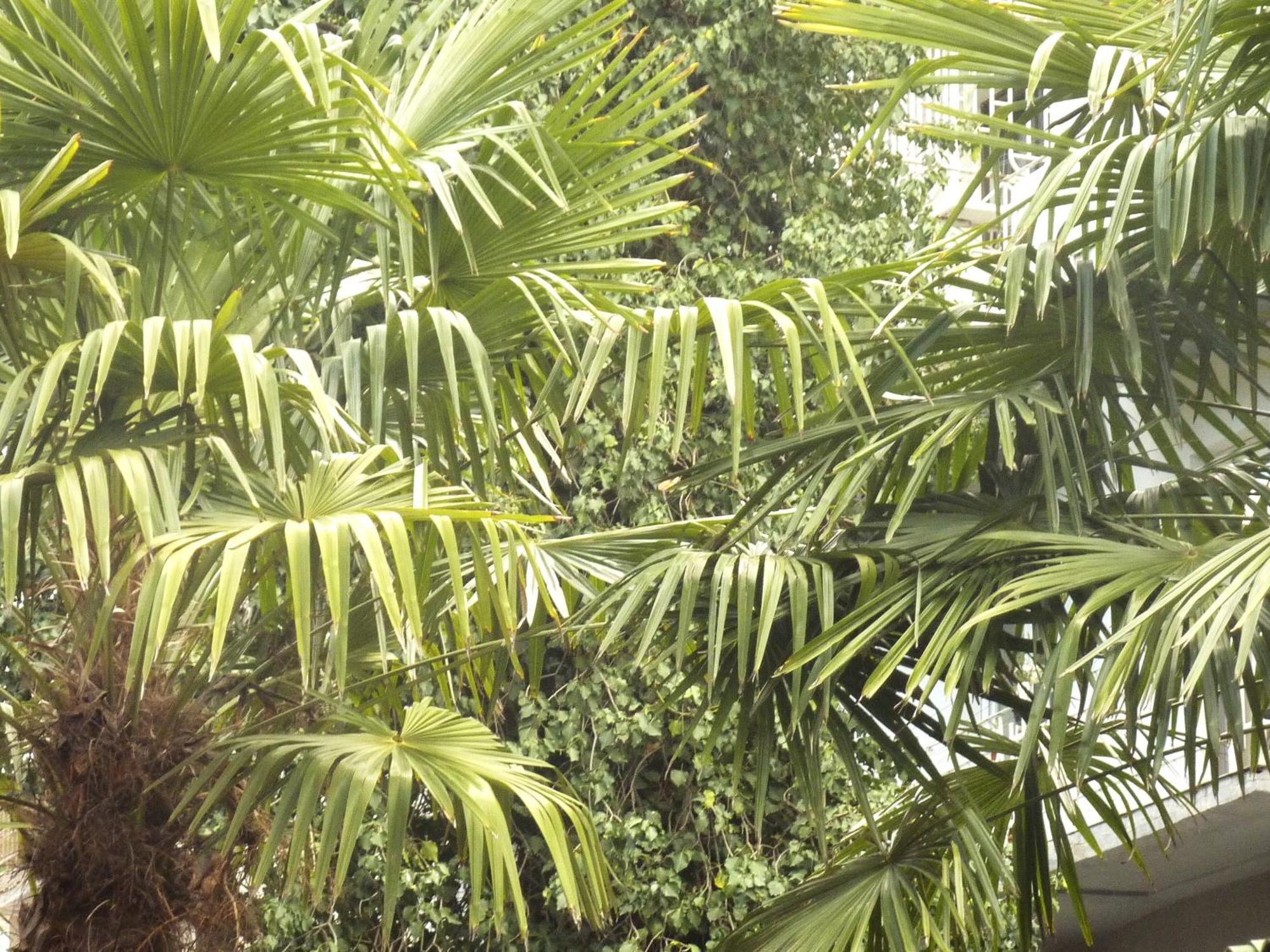 מלון Gardens In Vake, טביליסי מראה חיצוני תמונה