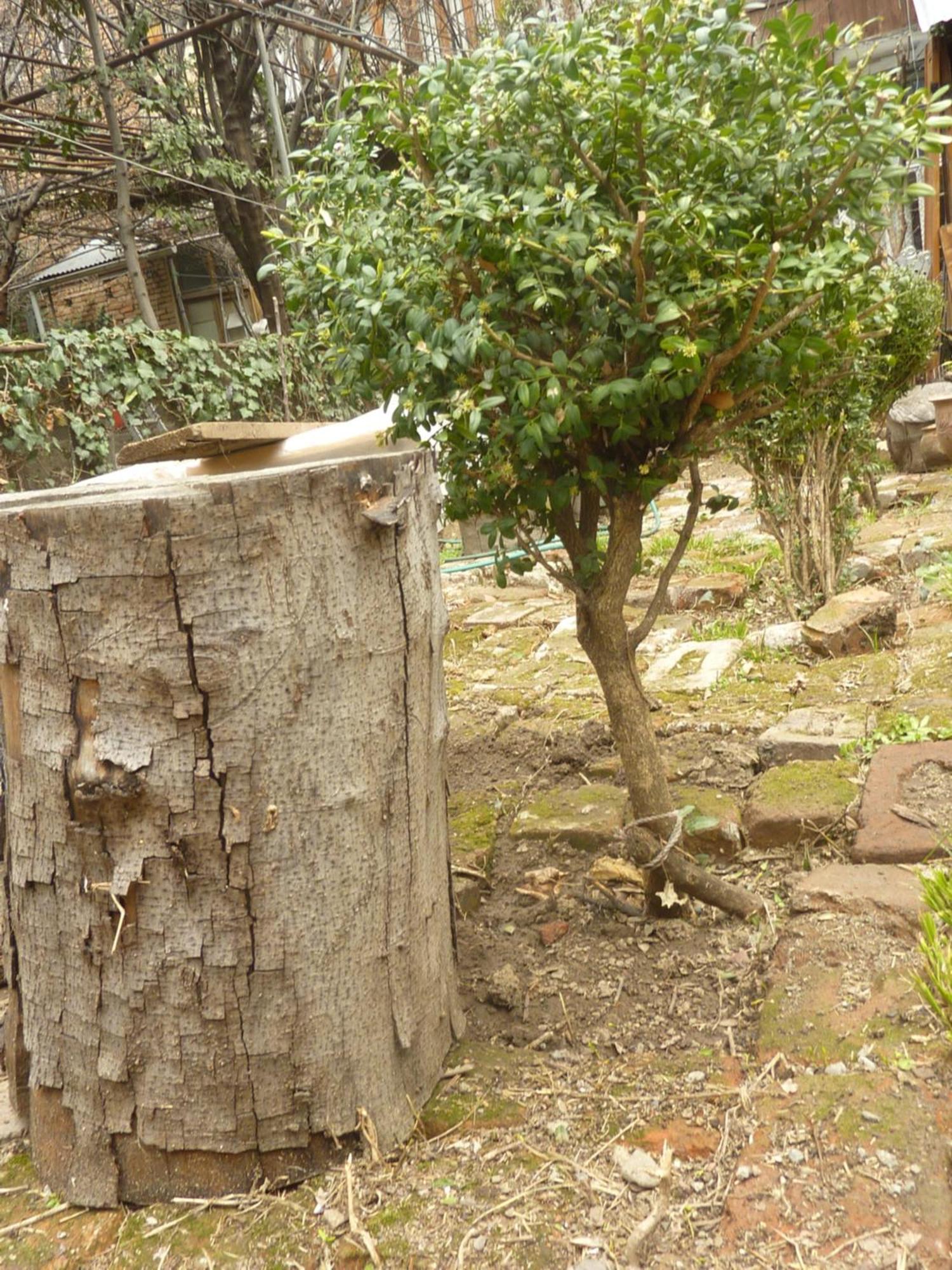 מלון Gardens In Vake, טביליסי מראה חיצוני תמונה