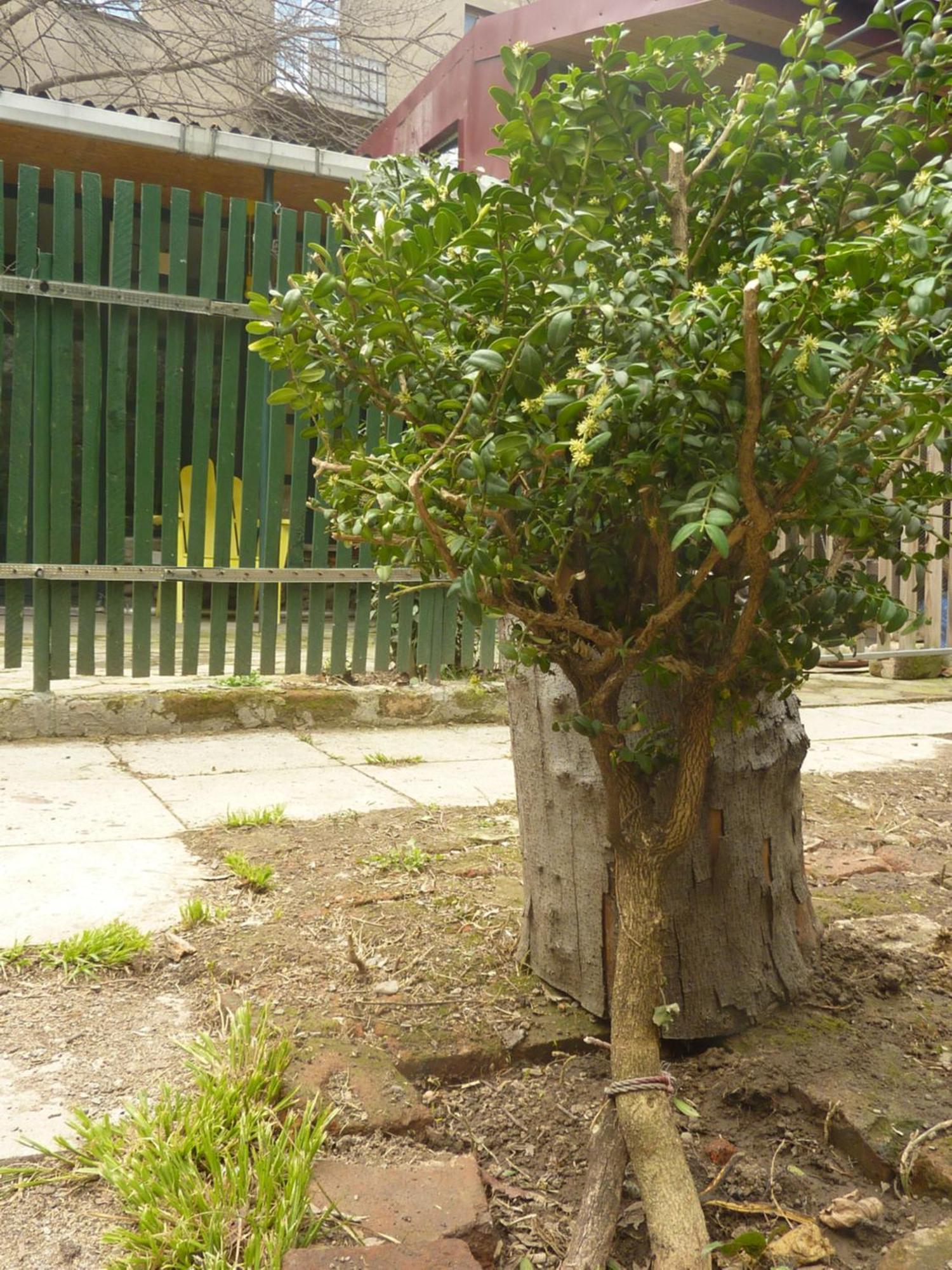 מלון Gardens In Vake, טביליסי מראה חיצוני תמונה